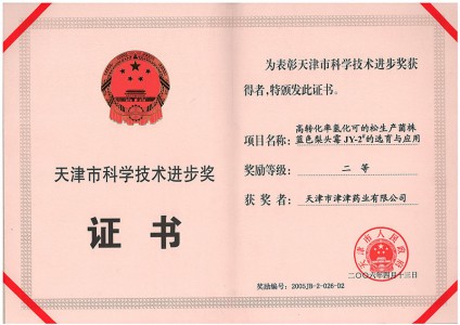 2006年天津市科學(xué)技術(shù)進(jìn)步二等獎(jiǎng)