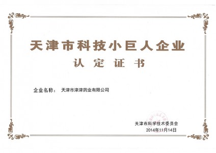 2014年天津市科技小巨人企業(yè)認(rèn)定證書(shū)